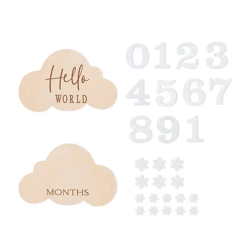 Cloud-shaped milestone cards with numbers and floral details for newborn baby photography.
