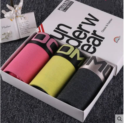 Women Cotton Lace Panties Set