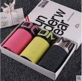 Women Cotton Lace Panties Set