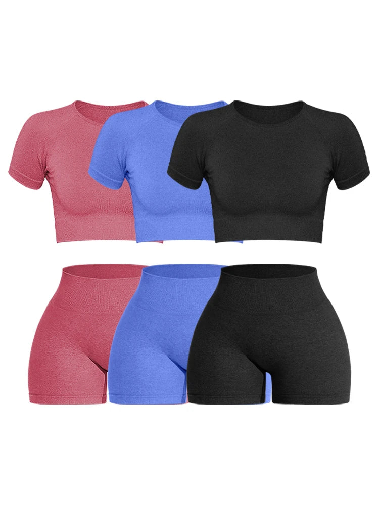 Women Seamless Ribbed Sports Set