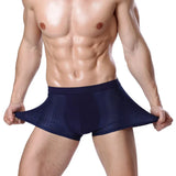 Men's Plus Size Ice Silk Mesh Underwear