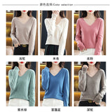 Women Slim Fit V-Neck Sweater