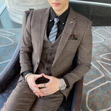 Men Plaid 3-Piece Business Suit