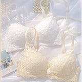 Women Vintage Lift Bra Set