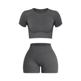 Women Seamless Ribbed Sports Set