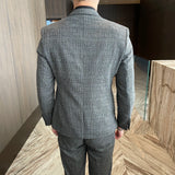 Men Plaid 3-Piece Business Suit