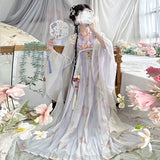 Vintage Chinese style traditional Hanfu dress featuring pastel colors and intricate floral designs, perfect for women.