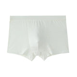 Men's Plus Size Ice Silk Mesh Underwear