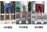 Men Business Casual Shorts