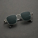 2025 Polarized Sunglasses