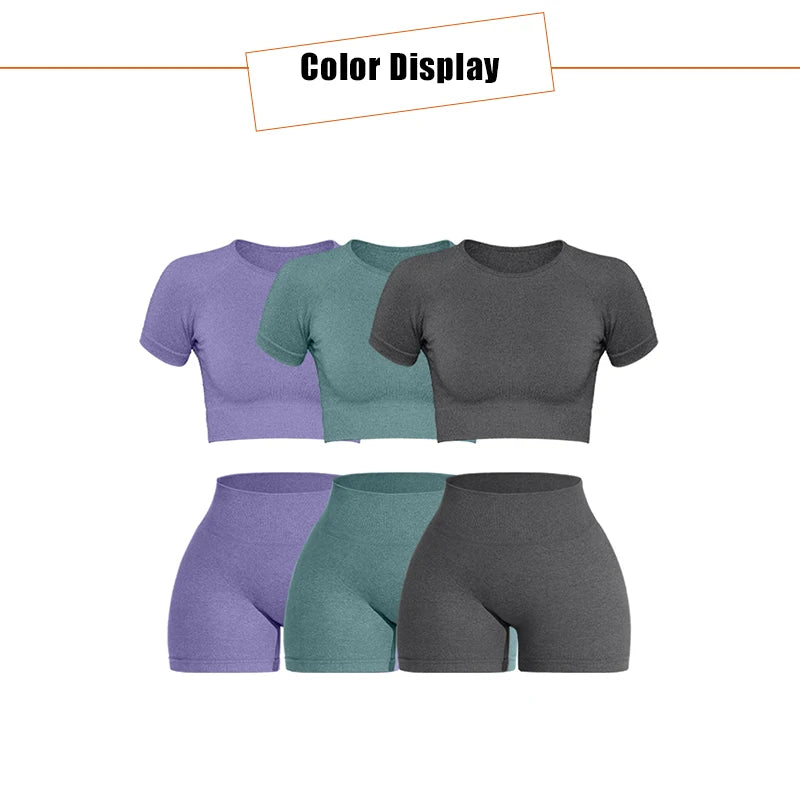 Women Seamless Ribbed Sports Set