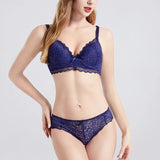 Women Plus Lace Bra Set