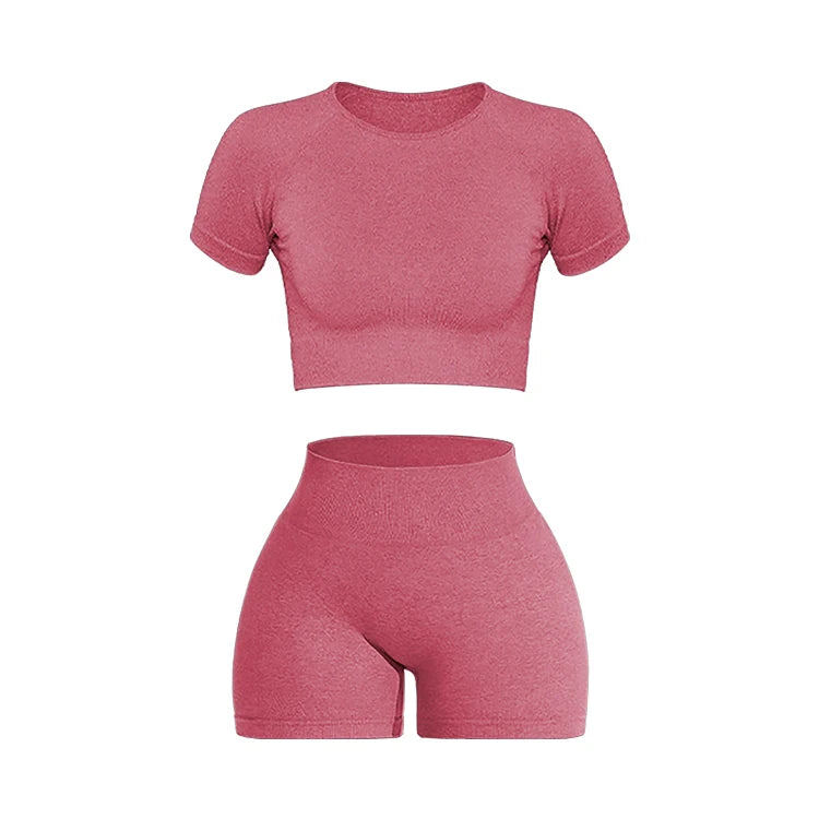 Women Seamless Ribbed Sports Set