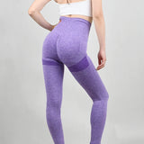 Women Seamless Gym Leggings