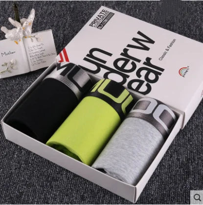 Women Cotton Lace Panties Set