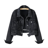 Women's Long Sleeve Denim Lapel Jacket