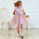 Baby  Casual Costume Kids Dresses