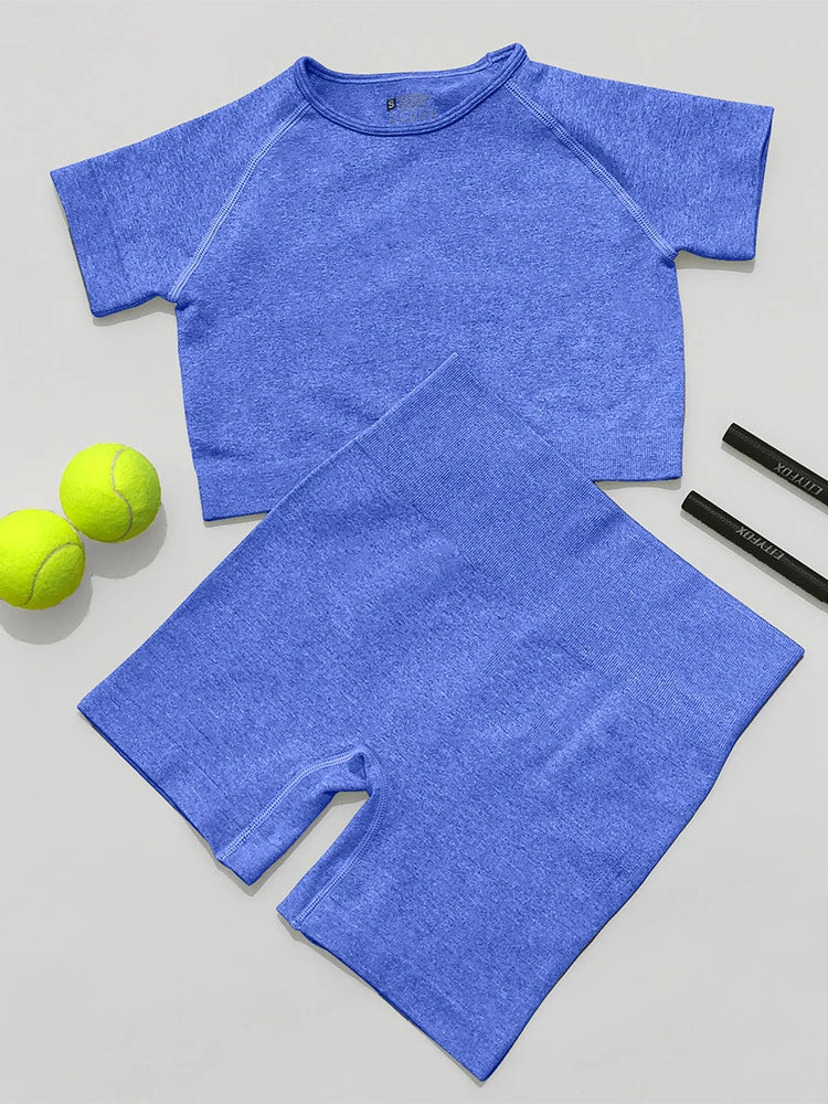 Women Seamless Ribbed Sports Set