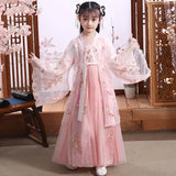 Modern fairy hanfu dress for girls, featuring intricate floral designs and flowing sleeves, perfect for cosplay.