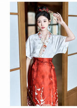 Traditional Hanfu oversized embroidered blouse with elegant red skirt, showcasing Chinese cultural fashion.