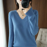 Women Slim Fit V-Neck Sweater