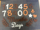 Soft felt baby milestone cards with numbers, months, days, and decorative elements for memorable photo ops.