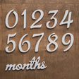 White wooden numbers 0-9 and 'months' for baby milestone photography occasions.