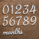 White wooden numbers 0-9 and 'months' for baby milestone photography occasions.