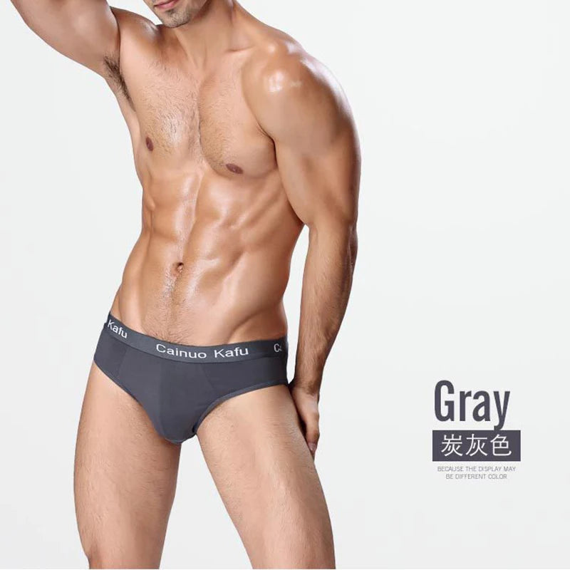 Men 3-Pack Silk Briefs Underwear