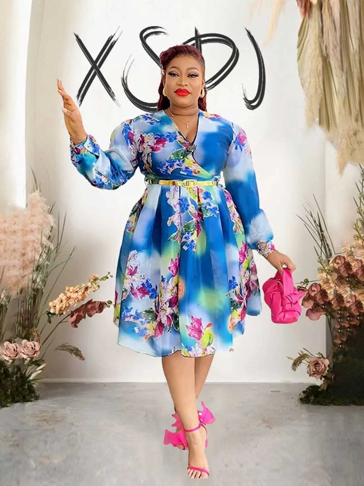 Women V-Neck Chiffon Print Dress