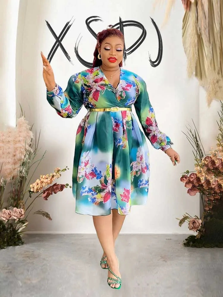 Women V-Neck Chiffon Print Dress