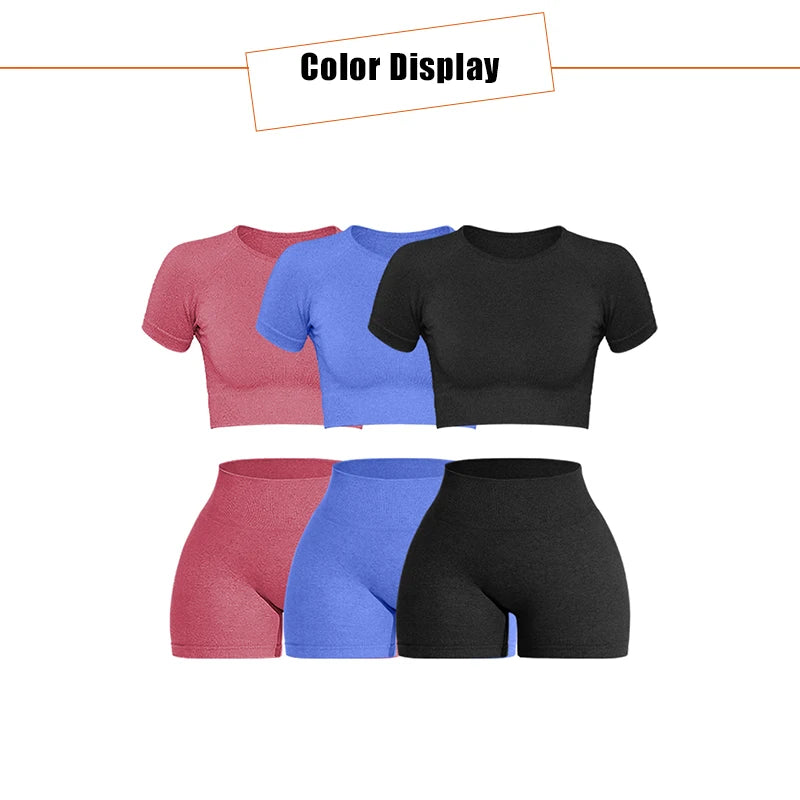 Women Seamless Ribbed Sports Set