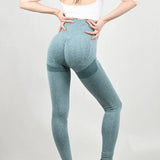 Women Seamless Gym Leggings