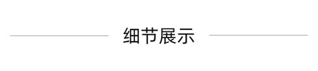 Text display in Chinese characters on a plain background, highlighting the concept of '细节展示' which means 'Detail Display'.