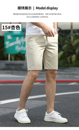 Men Business Casual Shorts