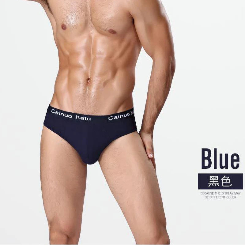 Men 3-Pack Silk Briefs Underwear
