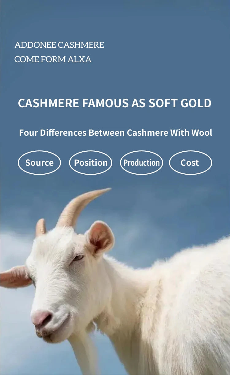 Women's 100% Cashmere Hooded Sweater