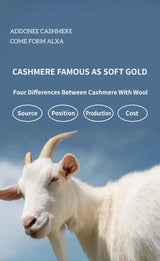 Women's 100% Cashmere Hooded Sweater