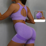 Women Fitness Vest & Shorts Set