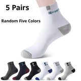 Patterned Socks for Men & Women | Men's Socks & Hosiery by Anwer Fancy | Worldwide Shipping