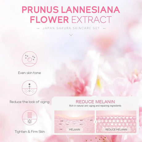 Sakura Skin Care Set | by Anwer Fancy | Worldwide Shipping